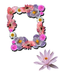 beautiful flower frame
