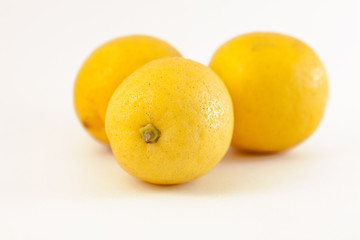 zitronen, citrus