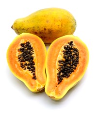 Papaya