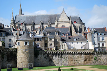 Fototapety na wymiar - Fototapeta24.pl