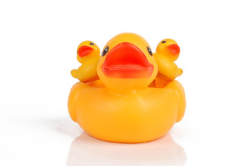 rubber duck