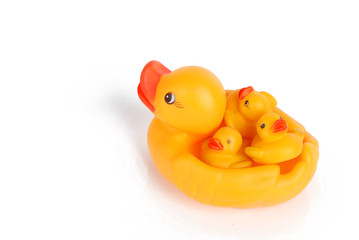 rubber duck