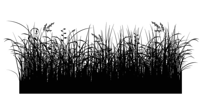 Silhouette Rasen (mit Clippfad)