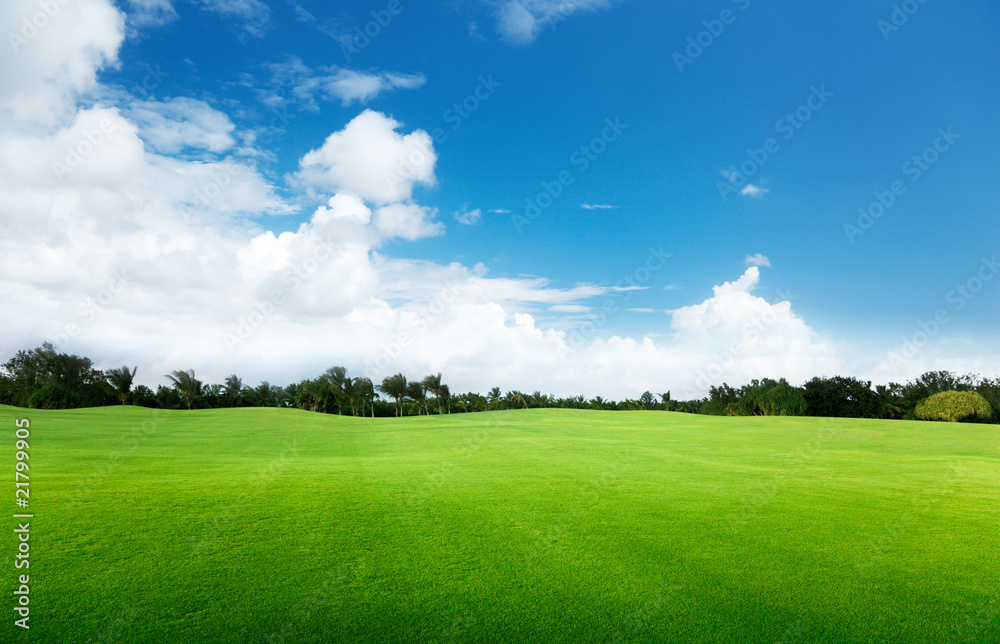 Canvas Prints green field and trees