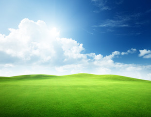 field of grass and perfect sky