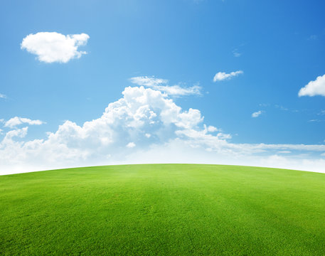 green field and blue sky
