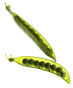 pea pod isolated on white background