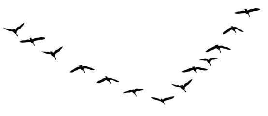 flying geese vector