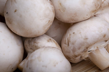 Edible white button or champignon mushrooms