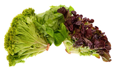 drei Sorten Salat