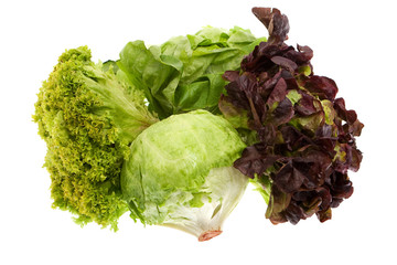 vier Sorten Salat