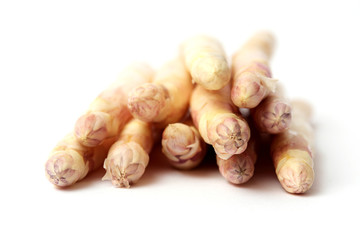 Weißer Spargel von vorne auf weißem Untergrund