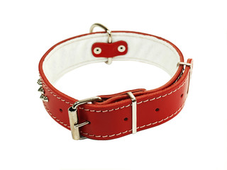 Dog collar