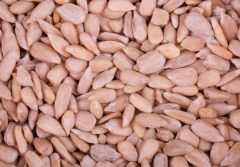 Sunflower seeds