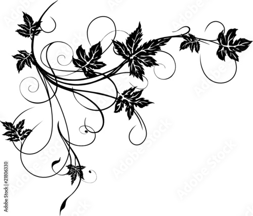 &quot;Wein, Weinrebe, Ranke, Weinblätter, Blätter, filigran