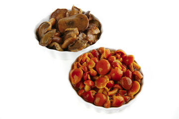 orange and white mushroom