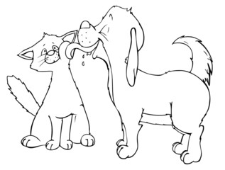 Katze, Hund, Freunde, Überraschung, überrascht