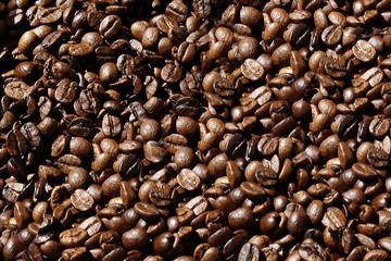 Coffee Bean