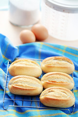 fresh buns