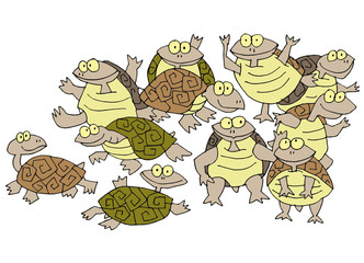 Tortues