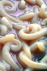 Pasta gramigna e fagioli