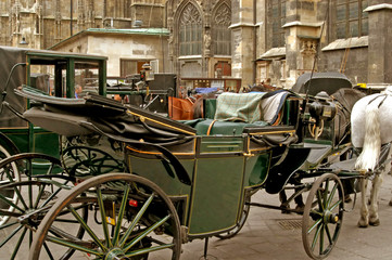 Fototapeta na wymiar Wózki na Piazza Santo Stefano - Wiedeń - Austria