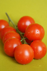 tomato on green II