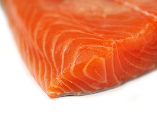 fresh salmon steak