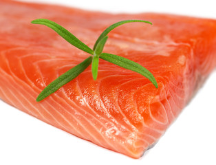 fresh salmon steak