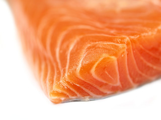 fresh salmon steak