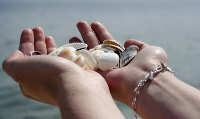 Shells
