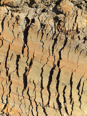 Risse im Boden