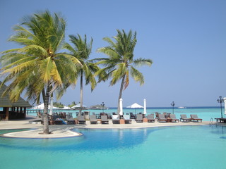 Maldives - Pool