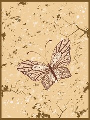 grunge background with tropical butterflies