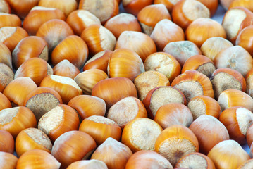 hazelnuts