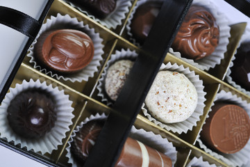 chocolate and praline