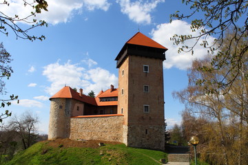 Obraz premium Castle