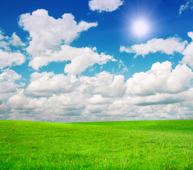 Green field under blue cloudy sky whit sun
