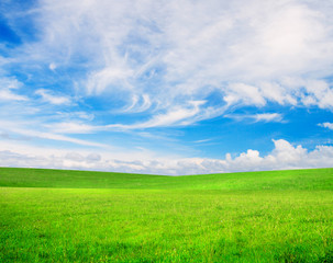 Fototapeta na wymiar Green grass and blue cloudy sky