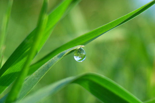 wasser