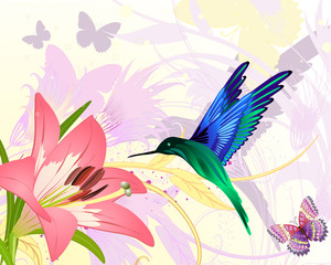 pink floral fantasy colibri