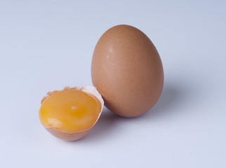 egg