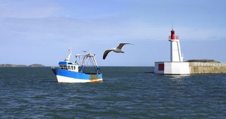 Bateau de Peche et Mouette