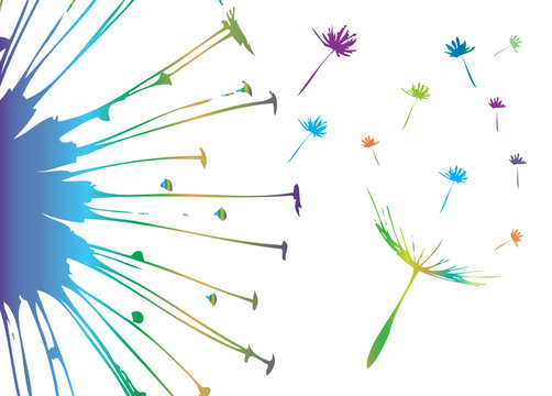 Bunte Pusteblume