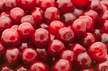 Fresh natural cherry background