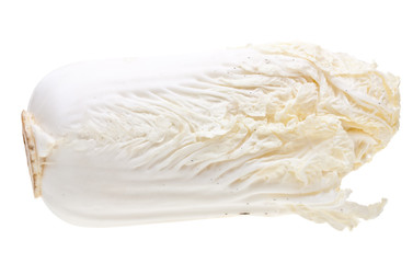 Chinese cabbage  isolated on white