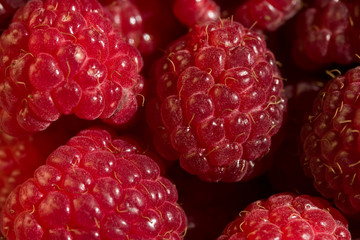 raspberry