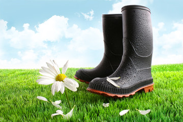 Rubber boots with daisy in grass