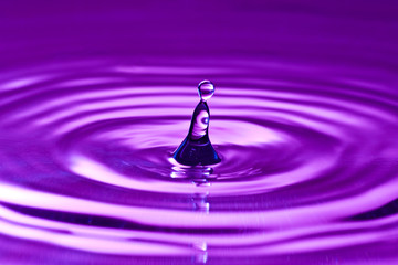 purple droplet splash in  clean water