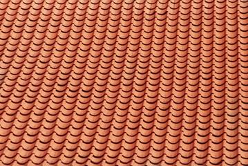 piece of red tile